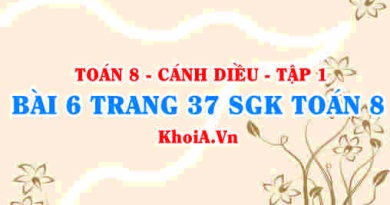 Bài 6 trang 37 SGK Toán 8 tập 1 Cánh Diều